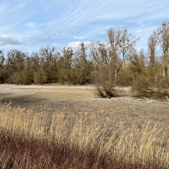 23-02-18 14-23-49 4252